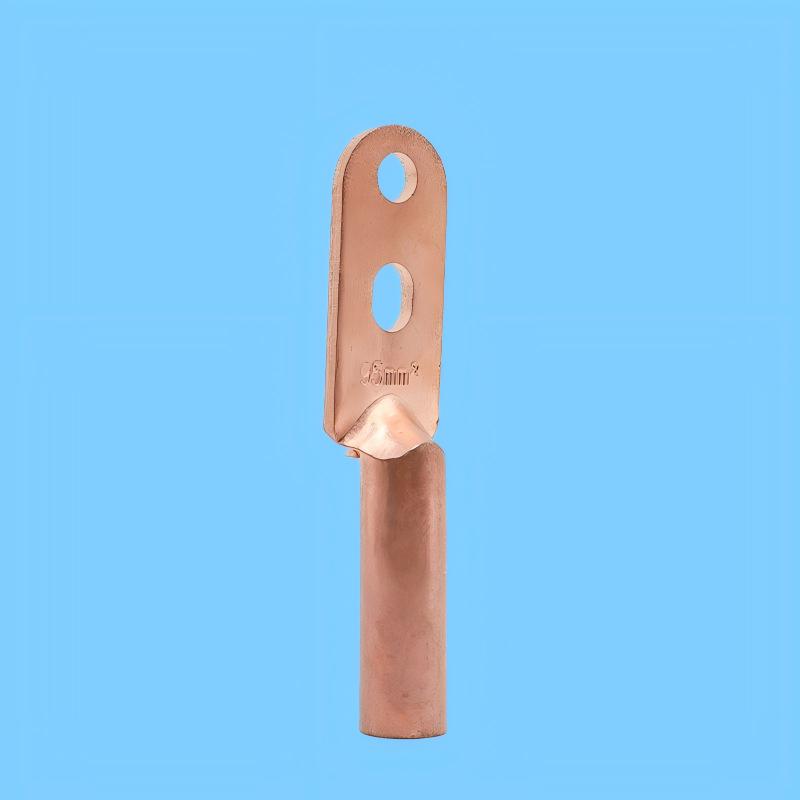 DTS Double Holes Copper Cable Lugs 6